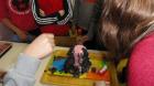 DSC02645