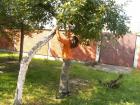 PICT0038