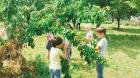 IMG-14d6f4b701d465ccc0ab9dee12f0ace3-V
