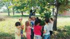 IMG-5071b58f088d263c7599d1bdc73be193-V