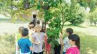IMG-70f0cb03dcc93b8cb973d3b769c4c978-V