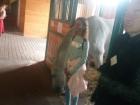 IMG-20181019-WA0050