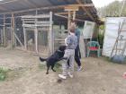 IMG-033fb1987738c354d37be731343cf1a3-V