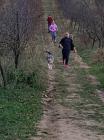IMG-2da7712669860ac8a63b054b39237178-V