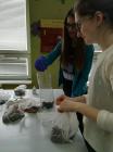 IMG_20190320_123407