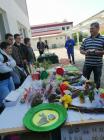 IMG-79e33dcc561915a9b2a983cca11f44b8-V