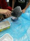 IMG_20190605_131413