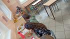 IMG-6ce38c9f30ff282934383d2031c18330-V