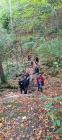 IMG_20231102_143029