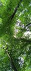 IMG_20240510_100134