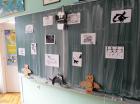 SAM_1352