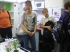 Dorotea,7.B