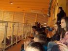 7.B Pozorno Prati Utakmice ;)