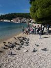 IMG-20191010-WA0004