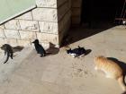 IMG-20191010-WA0006