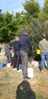 IMG-20191030-WA0006