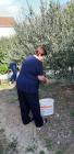 IMG-20191030-WA0009