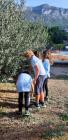 IMG-20191030-WA0010