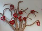 IMG-20200217-WA0002