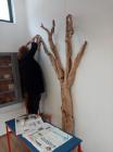 IMG-20200217-WA0006