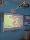 IMG-20210616-WA0016