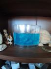 IMG-20210616-WA0024
