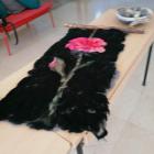IMG-20220423-WA0004