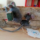 IMG-20220423-WA0005