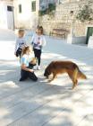 IMG-20221005-WA0004