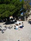 IMG-20221005-WA0009