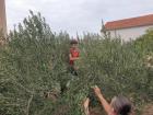 IMG-20221025-WA0002