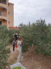 IMG-20221025-WA0003