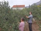 IMG-20221025-WA0004