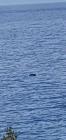 IMG-20231004-WA0008