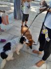 IMG-20231004-WA0012