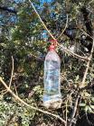 IMG-20240207-WA0017