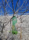 IMG-20240207-WA0018