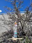IMG-20240207-WA0019