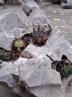 IMG-20240417-WA0005
