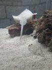 IMG-20240418-WA0002