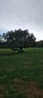 IMG-20240418-WA0014