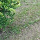 M_DSCN0325