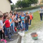 M_DSCN0354