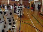 M_DSC01987