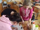IMG_20210224_114740