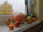 M_IMG_20211022_123147