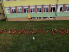 M_IMG_20211116_112126
