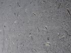 M_20221103_112709