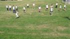 Picture 013