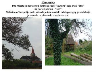 10. ŠĆITARJEVO 2 copy